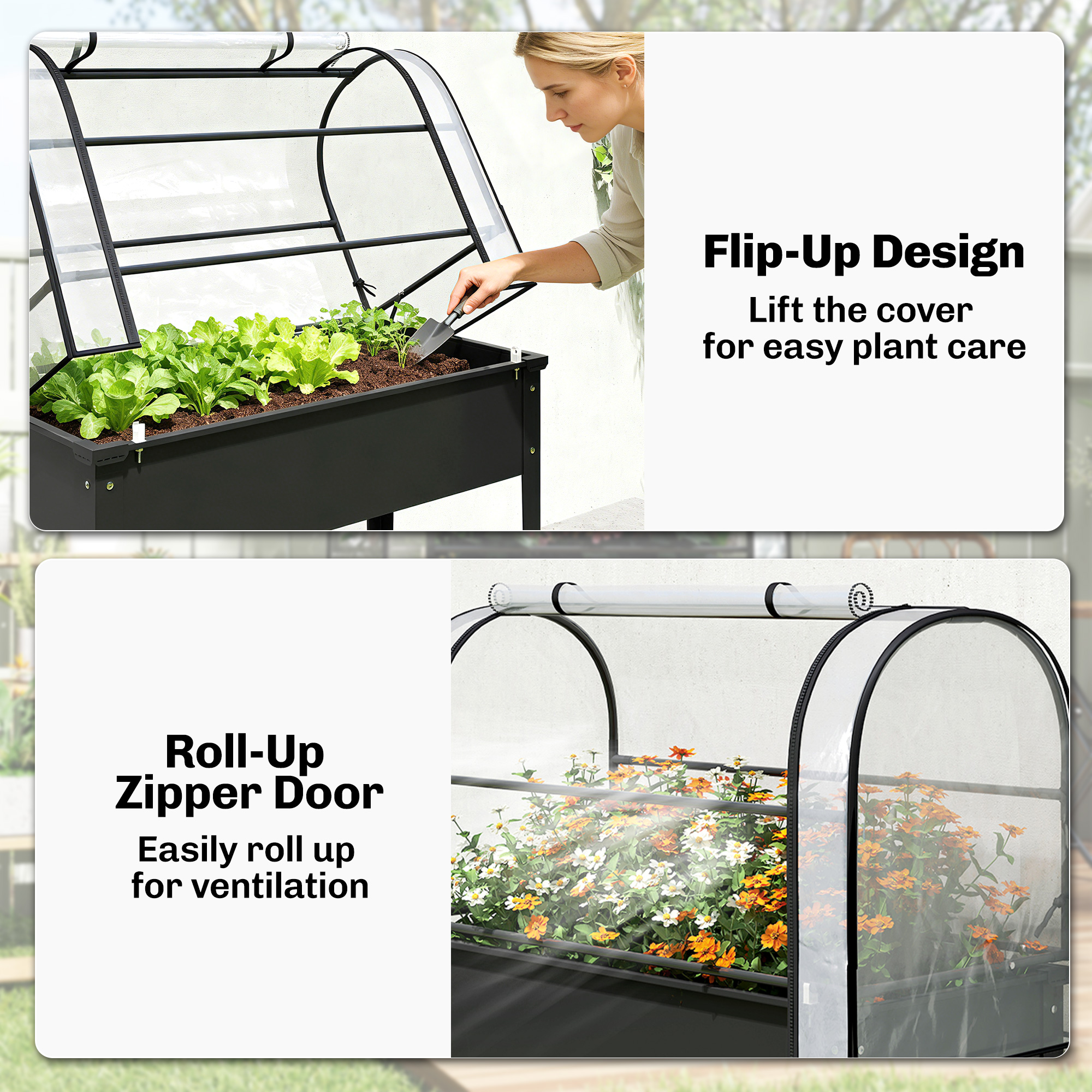galleryImage